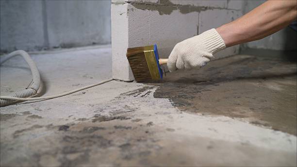 24/7 Emergency Crawl Space Encapsulation experts in Glenwood, IL